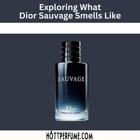 dior sauvage components|dior sauvage smell like.